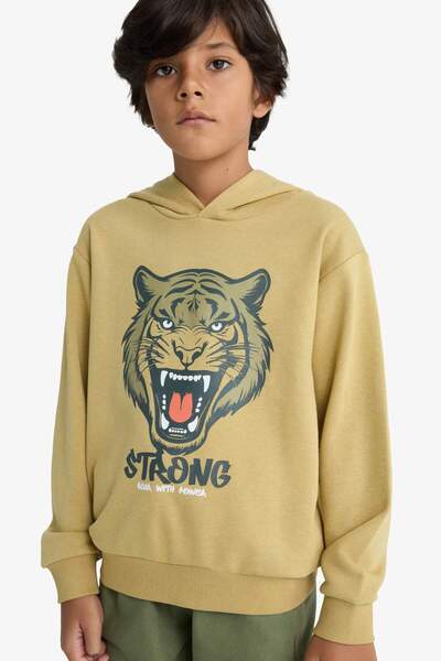 DeFacto Boy's Hooded Printed Sweatshirt F2859A825Wn