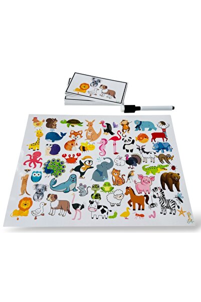 Loyameri Kidsshop بطاقات انتباه الحيوانات / ابحث عن الحيوانات 24 بطاقة / قلم ...