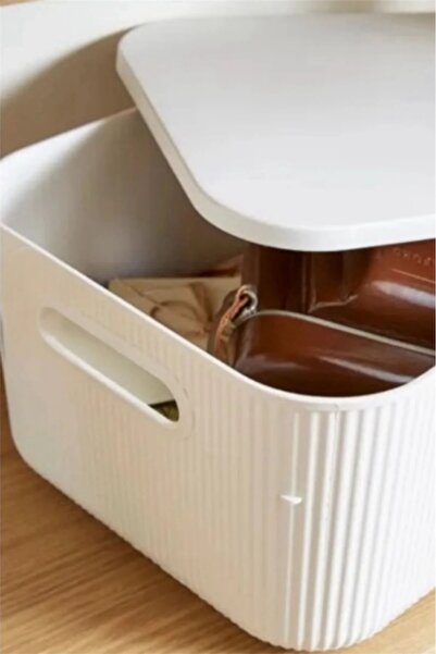 Bayev 2 Pieces Colors Cream 13 Lt Office Cabinet Organizer Hobby Toy Storage Box with Lid