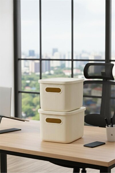 Bayev Colors Krem 2 Adet 6 Lt Ofis Dolap İçi Düzenleyici Organizer Oyuncak Kutusu Kapaklı Saklama Kutusu