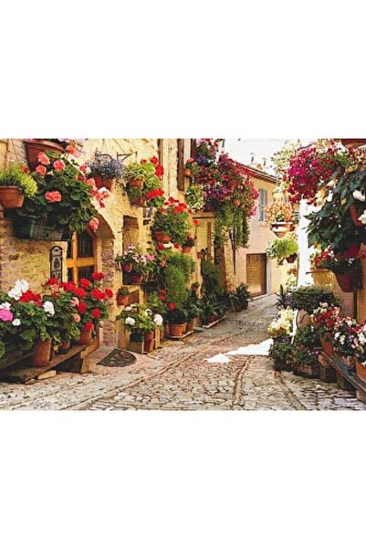 Genel Markalar Çiçekli Eski İtalyan Sokağı 45x33cm Dialands Elmas Mozaik Tablo