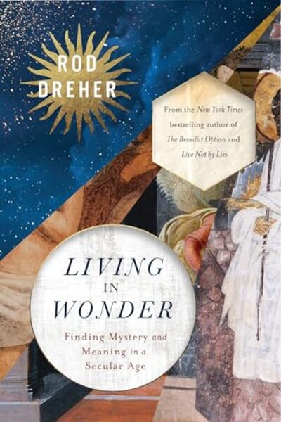 Zondervan Living In Wonder Finding Mystery And Meaning In A Secular Age