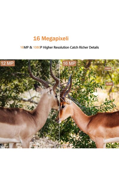 OEM GSM LTE 4G Hunting Camera, 16MP Photo, Full HD, IR 20m, with Image Transmission and SD Card Storage