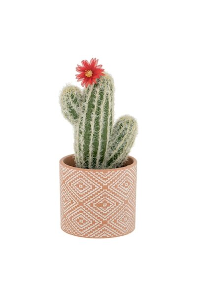 SHOPIENS Decorative Ceramic Pot with Cactus and Red Flower, Shopiens®, 25 cm