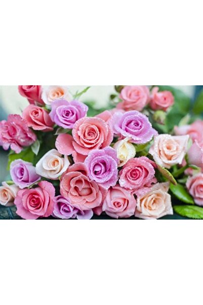 Dialands Mozaik Colorful Roses 50X33Cm Dialands Diamond Mosaic Painting