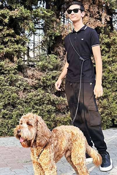 PETSWUU Çok Fonksiyonlu Eller Serbest Köpek Göğüs Tasması – Modern Siyah, Ayarlanabilir