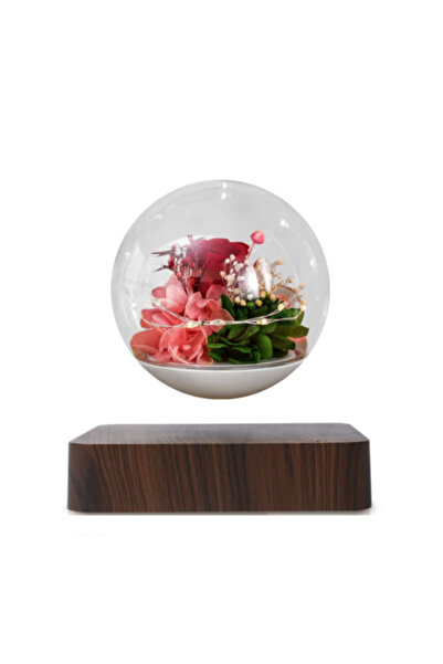 Generic Real floating flowers with light. Dark brown base.