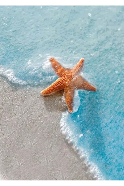 Dialands Mozaik Starfish 45X65Cm Dialands Diamond Mosaic Painting