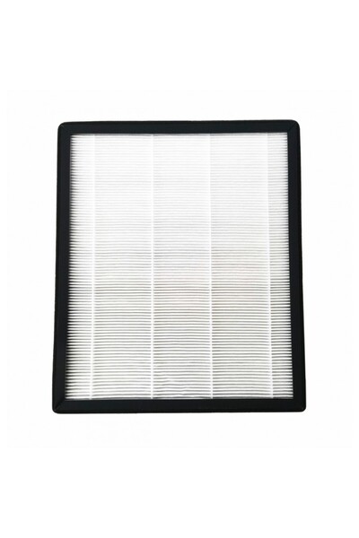 ROHNSON Filtru HEPA DF043 Health Kit, pentru R91216, R91316, R92016, R91120, ...