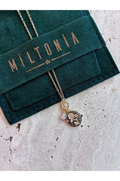 Miltonia 925s Çiçek Baget Damla Taşlı Gümüş Kolye