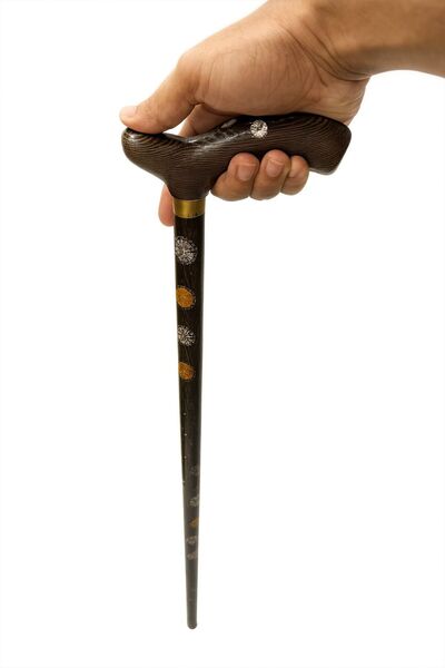Generic Rare cane made of feng shui wood