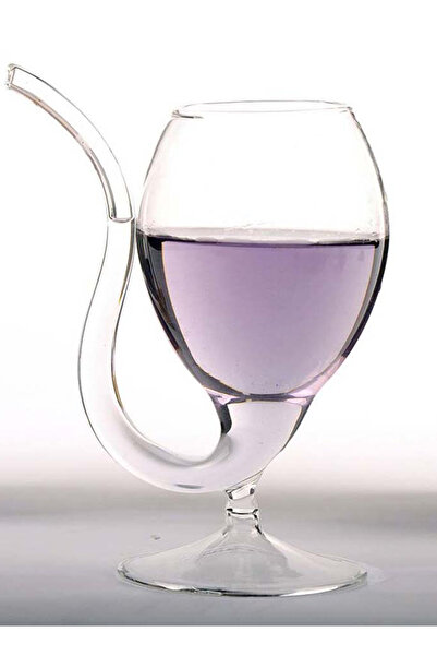 ELEGANT HOME 2-Piece Glass Cup Set with Built-in Straw