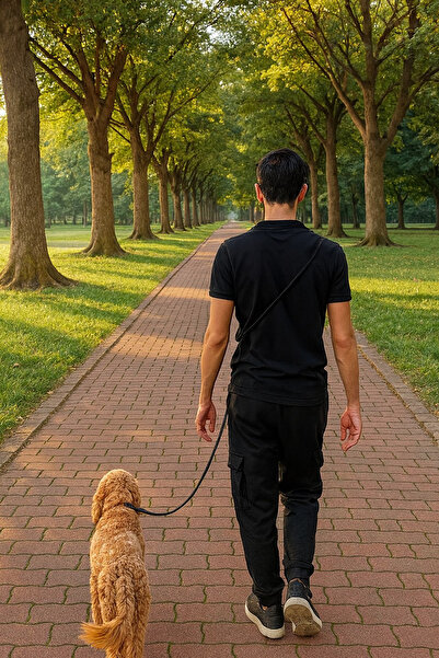 PETSWUU Eller Serbest Hands Free Köpek Gezdirme Tasması