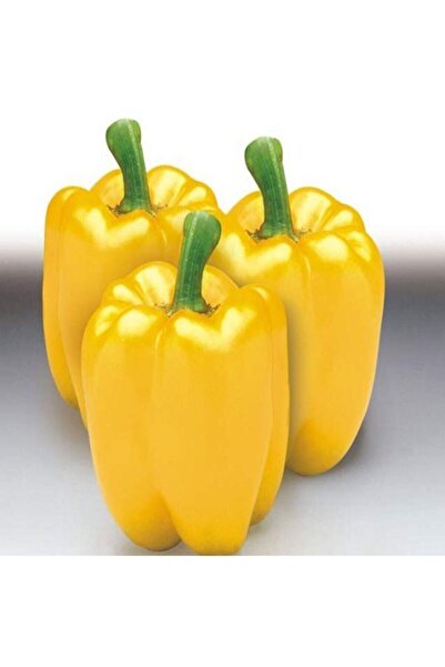 Store Sarı Dolmalık Biber Tohumu