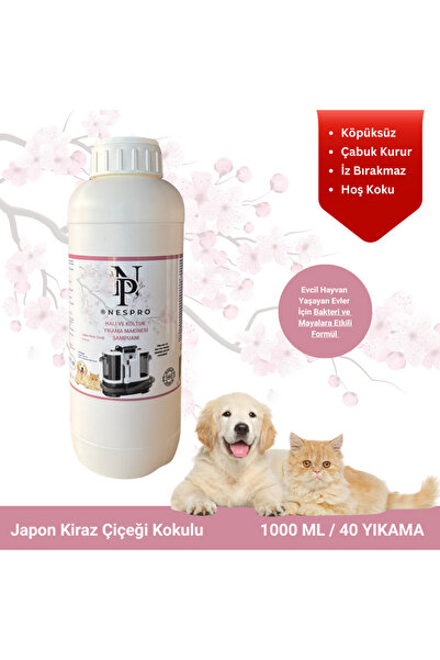 Reyonplus Nespro Halı ve Koltuk Yıkama Makinesi Şampuanı - Japon Kiraz Çiçeği...