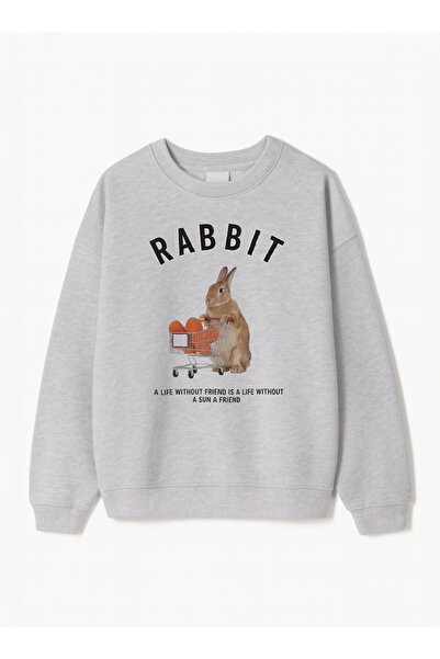 Disante سويت شيرت نسائي كبير الحجم مطبوع عليه أرنب – ياقة دائرية، 3 خيوط من ا...