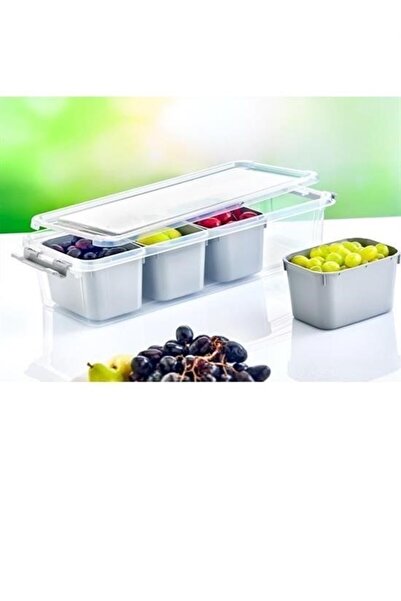 CT STONES Ct-Stones ® 4 Compartment Deep Grand Organizer