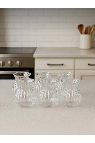 CEZVE HOME Keyf-I Ala 6-Piece Heat Resistant Borosilicate Glass Striped Tea Cup 200 ml