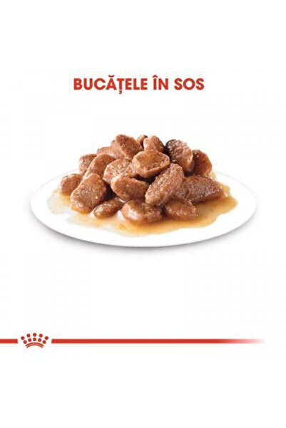 Royal Canin Hrana umeda pentru pisici, Sterilizate in sos, 12x85g
