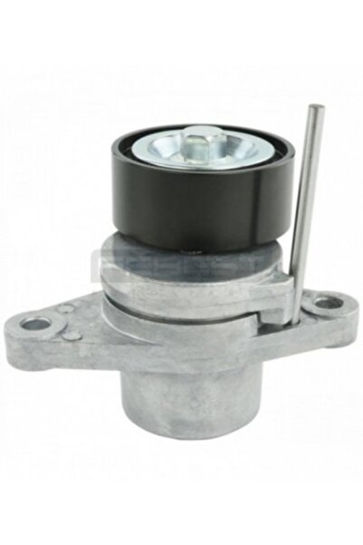 FEBEST Rolă întinzătoare pentru DACIA DUSTER