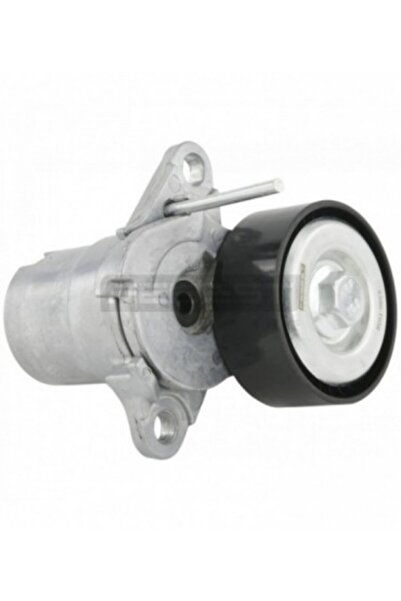 FEBEST Pretensionator curea accesorii 2390-TIGII AUDI A3