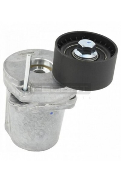 FEBEST Intinzator curea accesorii 1990-N47D20 BMW 5