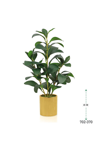 co arma Lemon seedling in a plastic container, simulating natural seedlings, 45 cm high