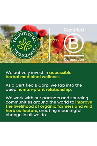 TRADITIONAL MEDICINALS Organic Mother’s Milk Tea, Fennel & Fenugreek, 32 Tea Bags, Caffeine Free