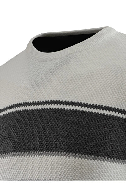 Çizgi Triko Чоловічий светр з круглим вирізом, трикотаж, візерунок «стільники», класичний крій