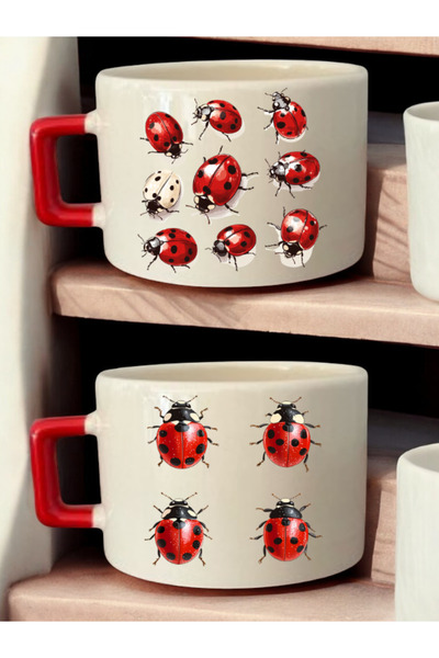 lili hediyelik Ladybug Printed 2-Piece Coffee Cup Ceramic Mug - Teacher's Day Gift, Gift for Teacher