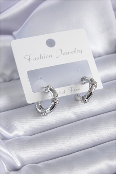 Vice Silver Color Zircon Stone Hoop Model Brass Women's Earrings