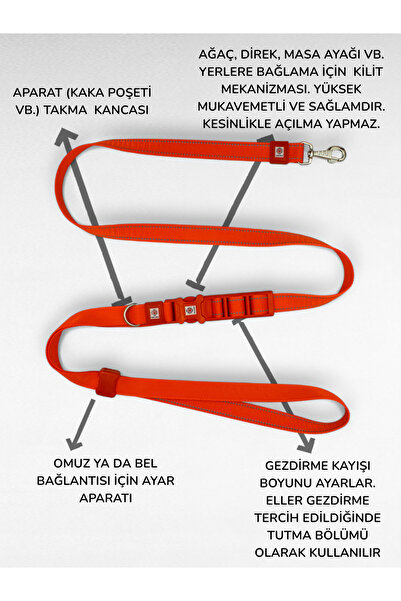 CARAMELOS Hands-Free Hands-Free Dog Walking Strap- Dog Walking Strap - Hands Free- Dog Walking Leash