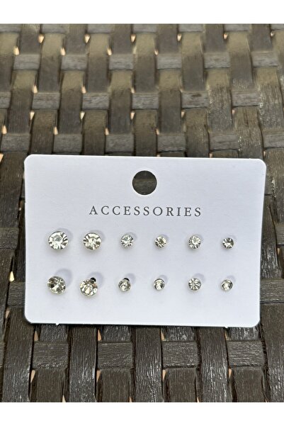 Luz De Viento 6'lı Çelik Zirkon Taşlı Küpe Seti