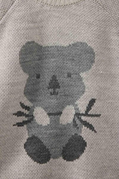 DeFacto Baby Boy 2-Piece Set Animal Pattern Knitwear Sweater Striped Bottom (25 Au)