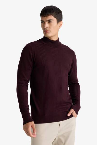 DeFacto Standart Fit Balıkçı Yaka Triko Kazak F4459AX25AU