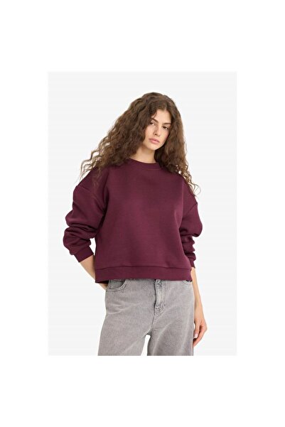 DeFacto Regular Fit Crew Neck Thick Sweatshirt D6645Ax25Wn