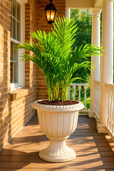 TEMMUZ HOME No2 1 Adet 25.3 Litre Nergis Saksı Ayaklı Dekoratif Plastik Büyük...