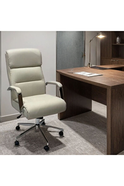 Tasamem Dafia swivel leather office chair