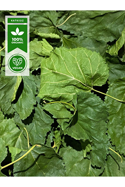 Organik Kiler Dut Yaprağı,Morus Alba 50g
