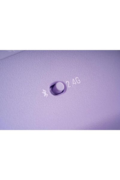 8Bitdo Ultimate 2c Kablosuz Oyun Kolu Hall Etkili Joystick, 1000Hz Windows PC Android Bluetooth Mor, Purple