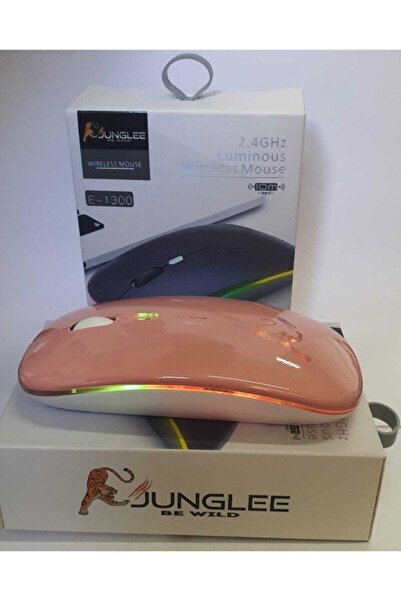 JUNGLEE Şarjlı Kablosuz Mouse Sessiz 2.4 Ghz Usb Wireless 800-1200-1600 Ayarl...