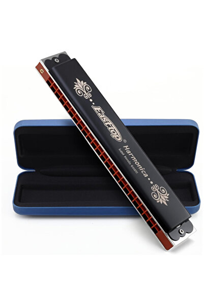 East top T2406K Tremolo Mızıka