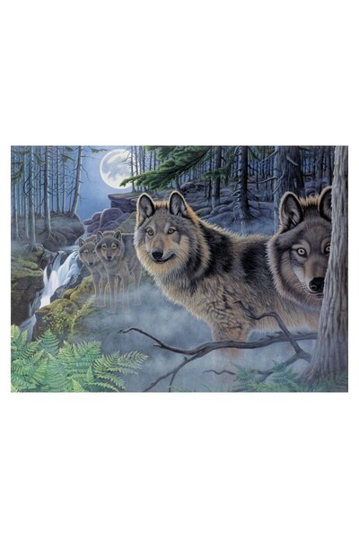 Royal Pictura pe numere Luna mistica 32x40 cm