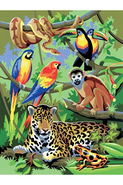 Royal Pictura pe numere Jungla 24x33 cm