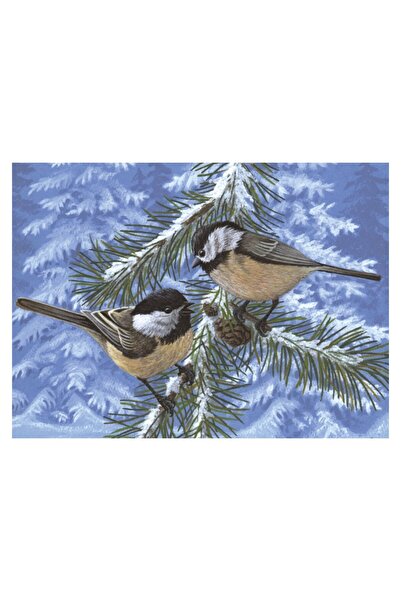 Royal Pictura pe numere pasarele Carduelis pinus 32x40 cm
