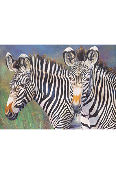 Royal Pictura pe numere 2 Zebre 32x40 cm