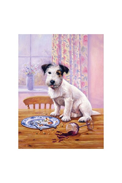 ROYAL BRUSH Pictura pe numere Catelus flamand 24x33 cm