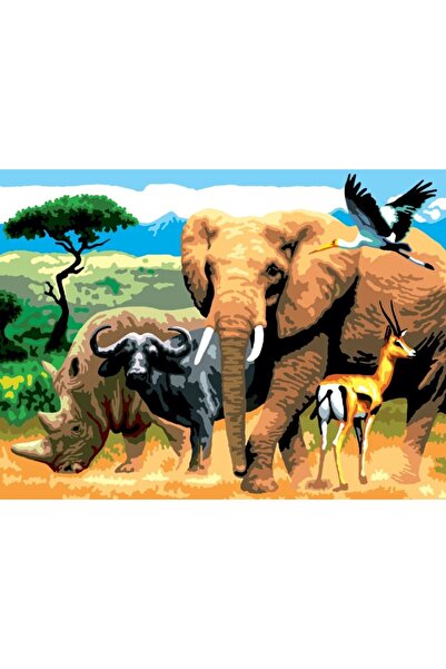 Royal Pictura pe numere Africa 32x40 cm