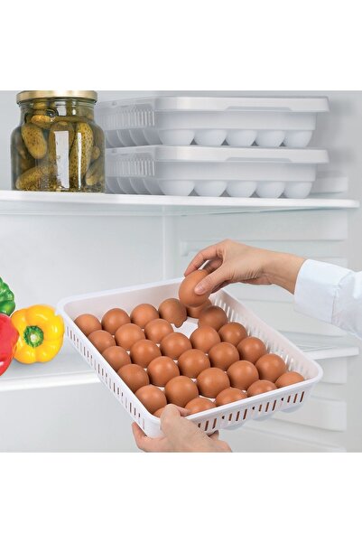SHOPIENS Plastic Egg Tray with Lid Shopiens® with 30 Compartments, 33.5 x 27.8 x 7.3 cm