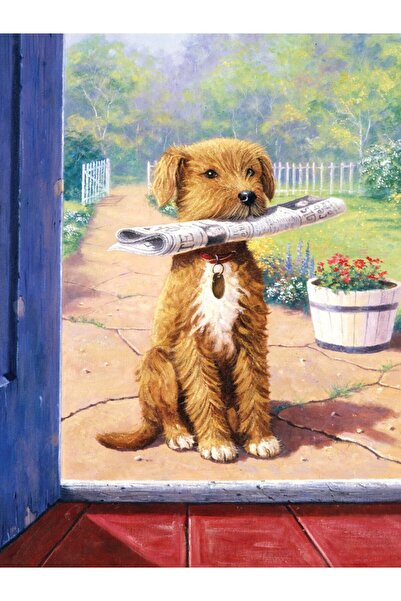 ROYAL BRUSH Pictura pe numere Baiat nou 24x33 cm